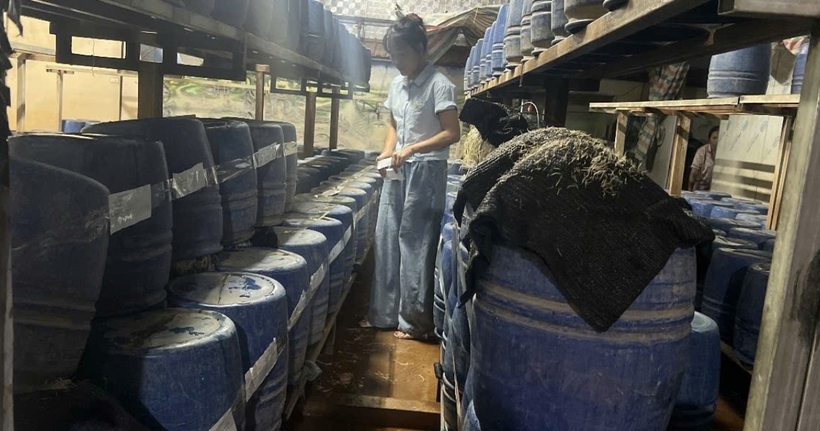 Nơi sản xuất giá đỗ.
