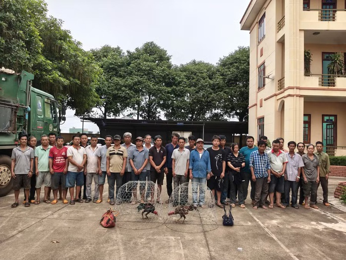 Hàng chục đối tượng bị bắt giữ trong vụ triệt phá xới gà quy mô lớn ở xã Ia Ko. (Ảnh: Công an tỉnh Gia Lai)