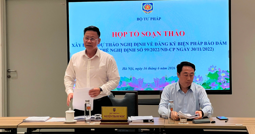 Thứ trưởng Bộ Tư pháp Nguyễn Thanh Ngọc phát biểu tại buổi họp.