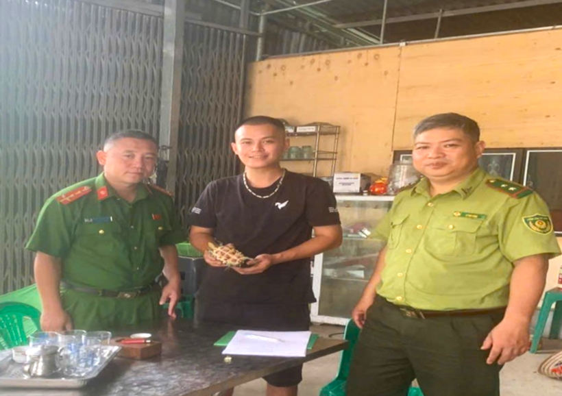 Công an xã Văn Chấn phối hợp tiếp nhận cá thể rùa do người dân giao nộp.
