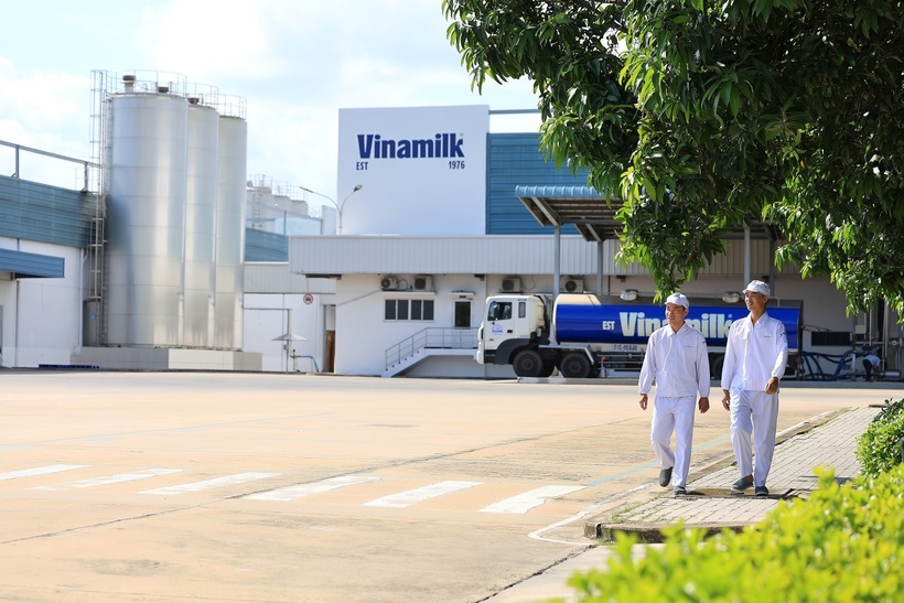 Vinamilk là thương hiệu sữa duy nhất của Việt Nam năm thứ 3 liên tiếp vào Fortune Southeast Asia 500 (Ảnh: VN).