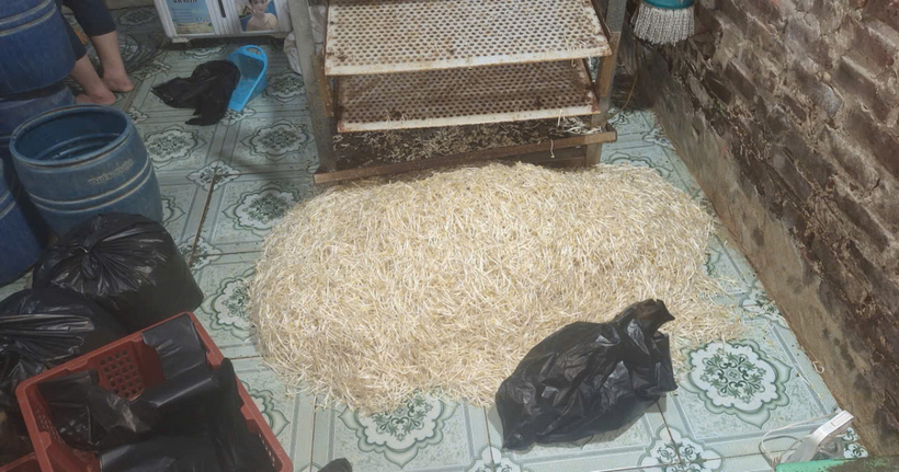Số giá đỗ của cơ sở sản xuất sau khi đã được tẩm hóa chất. (Ảnh: Công an tỉnh Hưng Yên).