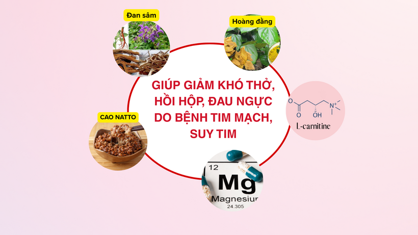 Người suy tim độ 3 nên dùng sản phẩm thảo dược giúp làm chậm tiến triển bệnh