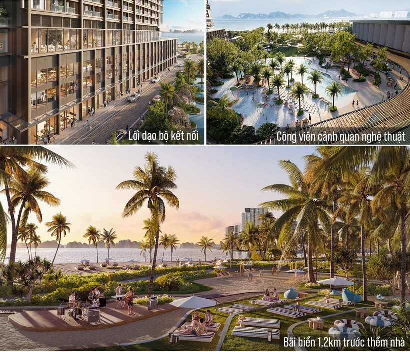 Aria Bay: Chất sống thời thượng mang dấu ấn Sailing Club bên vịnh di sản - 2