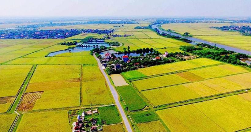 Cách xác định nhân khẩu được hỗ trợ khi thu hồi đất ruộng. (Ảnh minh họa)