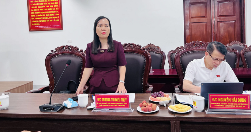 Các đại biểu phát biểu tại hội nghị.