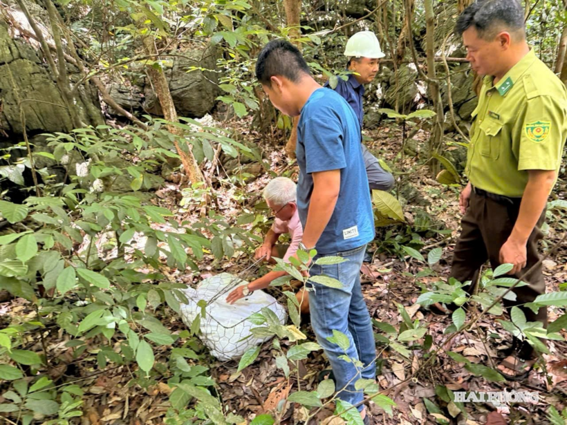 Lực lượng chức năng thả trăn đất về môi trường tự nhiên. Ảnh: Báo Hải Phòng