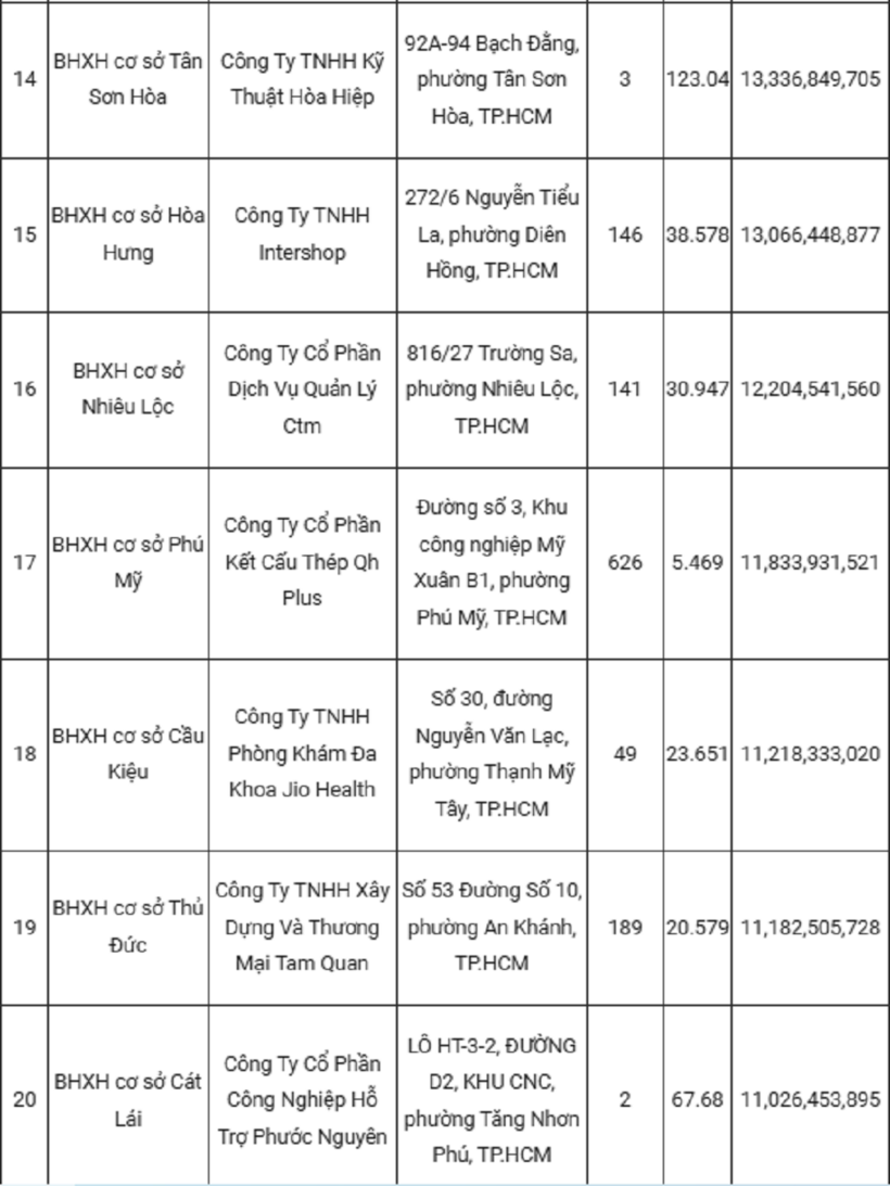 Danh sách 100 đơn vị chậm đóng bảo hiểm xã hội ở TPHCH, có nhiều doanh nghiệp lớn - 4