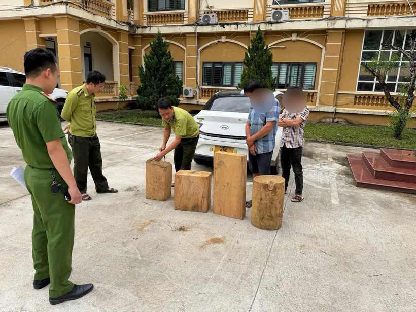Đối tượng và tang vật trong vụ việc mua, vận chuyển lâm sản trái pháp luật bị lực lượng chức năng phát hiện, xử lý. Ảnh Công an tỉnh Lào Cai.