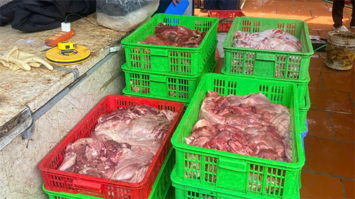 Có 7/9 mẫu thịt heo xét nghiệm dương tính với vi rút dịch tả heo châu Phi - Ảnh: Lực lượng chức năng cung cấp/ Theo báo Tuổi trẻ.