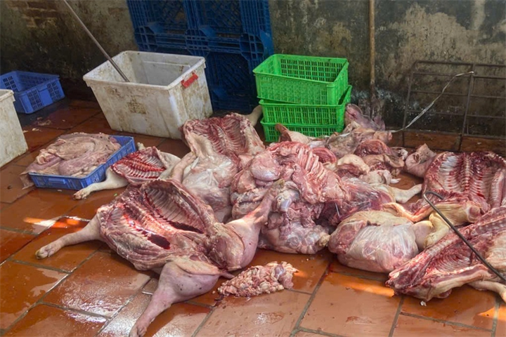 Lợn giá rẻ được thu mua từ nhiều nguồn trên thị trường để sơ chế, pha lọc trước khi bán ra phục vụ tiêu dùng (Ảnh: DMS)./ Theo Dân trí.