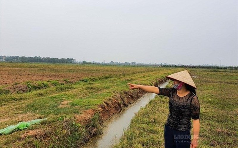 Ảnh minh họa/Lao động