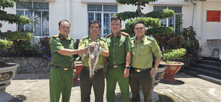 Công an xã Khánh Bình bàn giao cá thể chim cho Đội Kiểm lâm cơ động thuộc Chi cục Kiểm lâm tỉnh An Giang. Ảnh: Công an An Giang