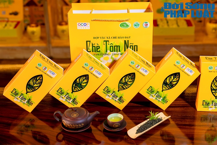 Trong bối cảnh người tiêu dùng ngày càng quan tâm đến chất lượng, an toàn thực phẩm và xuất xứ, truy xuất nguồn gốc đang trở thành yếu tố quan trọng giúp chè Thái Nguyên nâng cao giá trị, củng cố niềm tin và mở rộng thị trường.