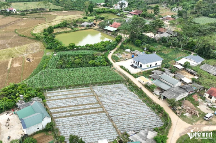 Ảnh minh họa: Báo VietNamNet