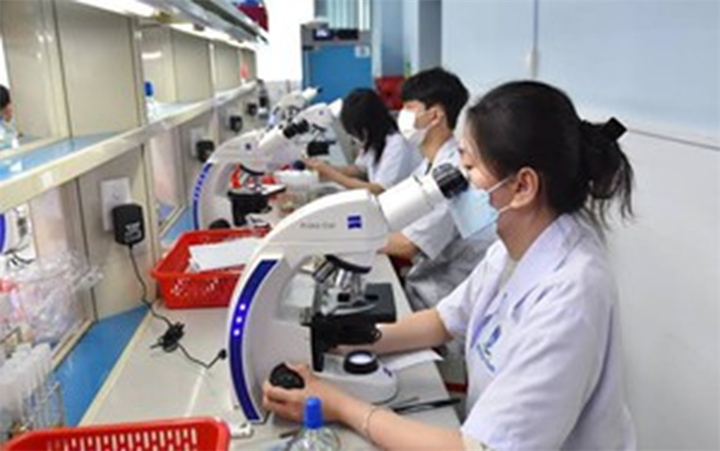 Ảnh minh họa/Báo Chính phủ