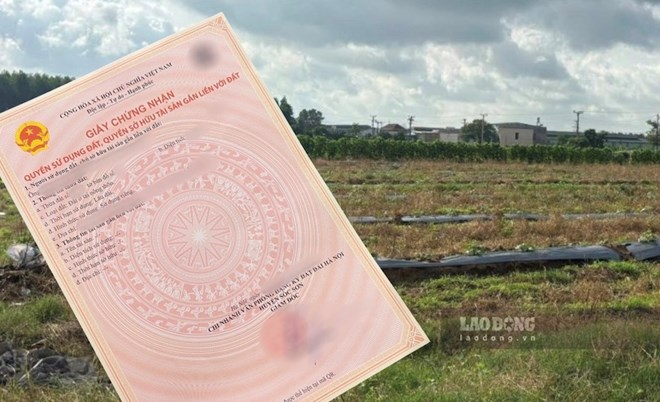Ảnh minh họa/ Theo báo Lao động.