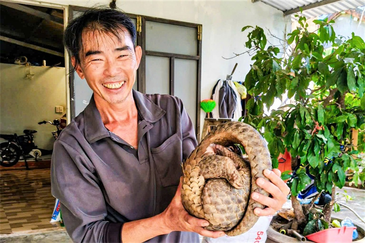 Cá thể tê tê được người dân bàn giao cho cơ quan chức năng (Ảnh: Duy Xuyên).