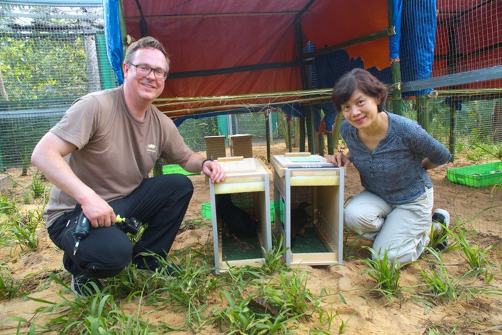 Từ hơn 4.000 cá thể đến mạng lưới bảo tồn quốc tế: Vinpearl Safari đã đi xa đến đâu sau hơn một thập kỷ? - 6