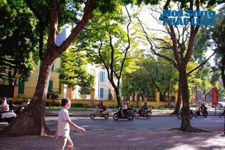 Đầu tháng 10, khi những cơn gió heo may se lạnh khẽ chạm ngõ, tiết trời Thủ đô cũng trở nên dịu mát và trong trẻo hơn. Dưới những vòm cây rợp bóng, người dân thong thả dạo bước, tận hưởng trọn vẹn vạt nắng thu mỏng manh trải dài trên phố. (Ảnh: Khánh Phương)