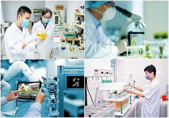 Ảnh minh họa/Báo điện tử Chính phủ