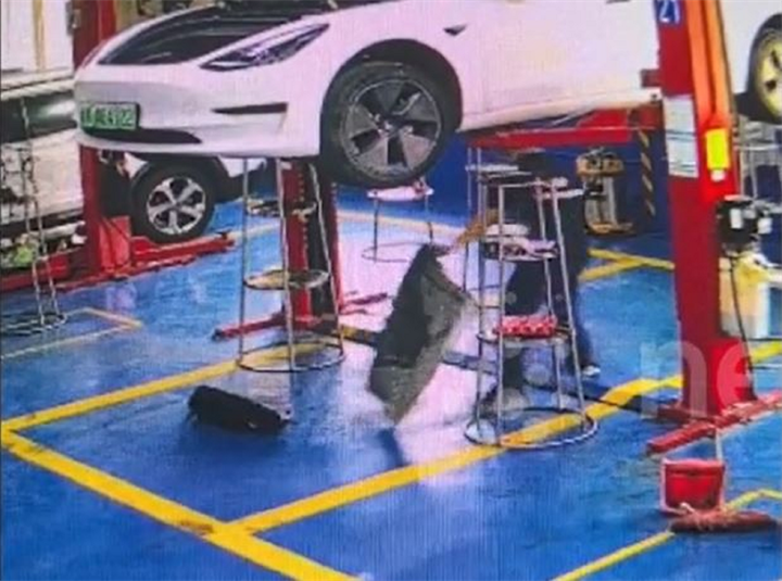 Người thợ sửa xe sốc nặng khi thấy con chó rơi xuống sàn nhà. Ảnh cắt từ clip/Newsflare