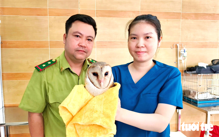 Kiểm lâm viên đến phòng khám thú y tiếp nhận chim cú lợn để đưa về chăm sóc, nuôi dưỡng và xử lý theo quy định - Ảnh: Ngọc Khải.