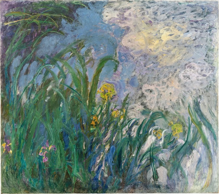 Cận cảnh tác phẩm Iris (Hoa diên vĩ, 1924-1925). Ảnh: Tạp chí tri thức
