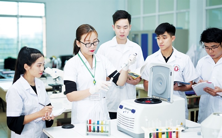 Việc quy định nhiệm vụ theo từng vị trí việc làm tạo cơ sở để các cơ sở giáo dục đại học xác định rõ yêu cầu đối với từng nhóm nhân sự. Ảnh: MOET