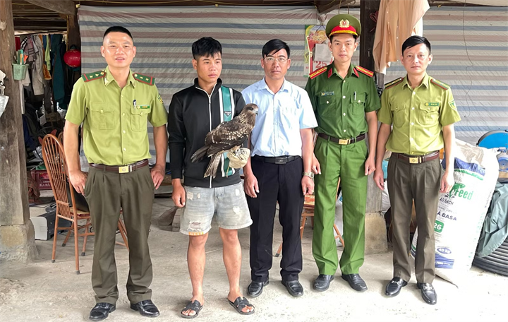 Anh Lò Văn Phường trao cá thể diều hâu cho lực lượng chức năng. Ảnh: Báo Lào Cai