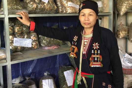 “Nữ y núi Tản” công bố thảo dược xương khớp hợp với thể trạng người Việt - 1
