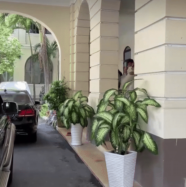 Nam Em đi không nổi, được bạn trai bế lên xe ra về sau buổi làm việc tại Sở Thông tin - Truyền thông TP.HCM - Ảnh 2. Nam Em đi không nổi, được bạn trai bế lên xe ra về sau buổi làm việc tại Sở Thông tin - Truyền thông TP.HCM - Ảnh 2.