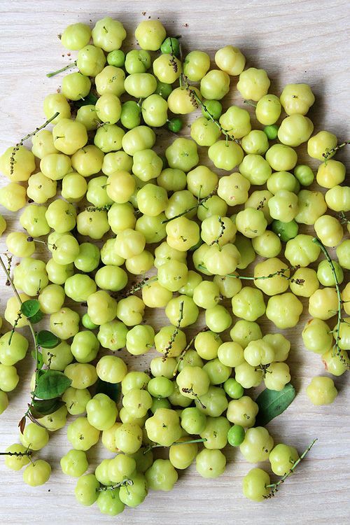 Loại trái cây miền Tây chua nhất Việt Nam khiến team Quang Linh Vlogs nhăn nhó khi ăn thử - Ảnh 3. Loại trái cây miền Tây chua nhất Việt Nam khiến team Quang Linh Vlogs nhăn nhó khi ăn thử - Ảnh 3.