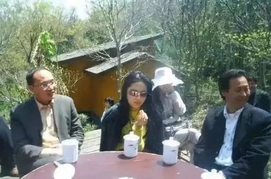 3 người đàn ông thế lực chống lưng cho Lưu Diệc Phi - Ảnh 7.