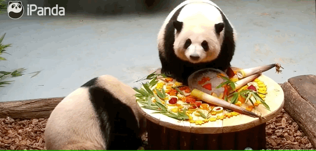 Sinh nhật 3 đỉnh lưu giới gấu trúc: Hàng ngàn fan xếp hàng xuyên đêm để chúc mừng, quảng cáo mừng sinh nhật không kém sao hạng A - Ảnh 5. Sinh nhật 3 đỉnh lưu giới gấu trúc: Hàng ngàn fan xếp hàng xuyên đêm để chúc mừng, quảng cáo mừng sinh nhật không kém sao hạng A - Ảnh 5.