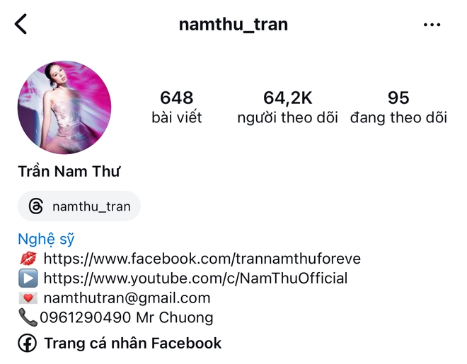 Trước khi dính drama bị tố giật chồng, Nam Thư hot thế nào, ngồi không cũng kiếm được gần 4 tỷ/năm? - Ảnh 2.