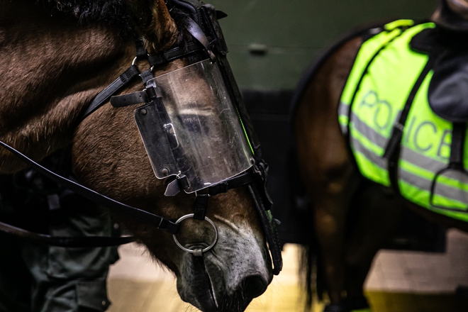 Ảnh, clip: Đoàn Cảnh sát cơ động diễu hành kỵ binh ở phố đi bộ Nguyễn Huệ, hàng ngàn người trầm trồ- Ảnh 10. Ảnh, clip: Đoàn Cảnh sát cơ động diễu hành kỵ binh ở phố đi bộ Nguyễn Huệ, hàng ngàn người trầm trồ- Ảnh 10.