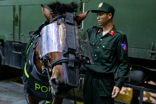 Ảnh, clip: Đoàn Cảnh sát cơ động diễu hành kỵ binh ở phố đi bộ Nguyễn Huệ, hàng ngàn người trầm trồ- Ảnh 12. Ảnh, clip: Đoàn Cảnh sát cơ động diễu hành kỵ binh ở phố đi bộ Nguyễn Huệ, hàng ngàn người trầm trồ- Ảnh 12.