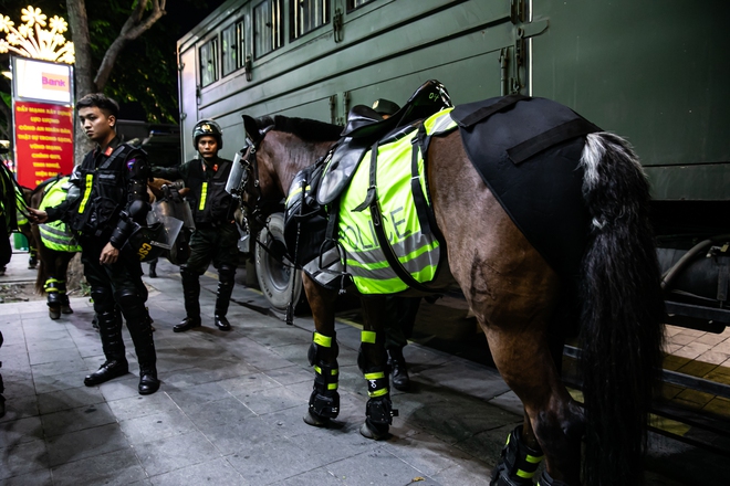 Ảnh, clip: Đoàn Cảnh sát cơ động diễu hành kỵ binh ở phố đi bộ Nguyễn Huệ, hàng ngàn người trầm trồ- Ảnh 11. Ảnh, clip: Đoàn Cảnh sát cơ động diễu hành kỵ binh ở phố đi bộ Nguyễn Huệ, hàng ngàn người trầm trồ- Ảnh 11.