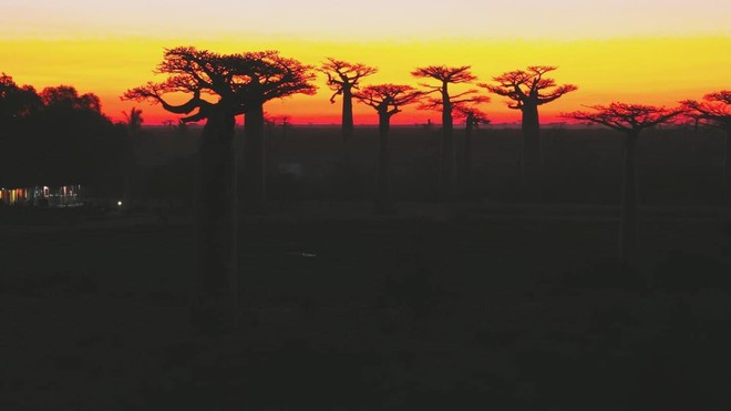 Khoai Lang Thang đã đạt được ước mơ khi tới nơi Quang Linh Vlog sinh sống- Ảnh 21. Khoai Lang Thang đã đạt được ước mơ khi tới nơi Quang Linh Vlog sinh sống- Ảnh 21.