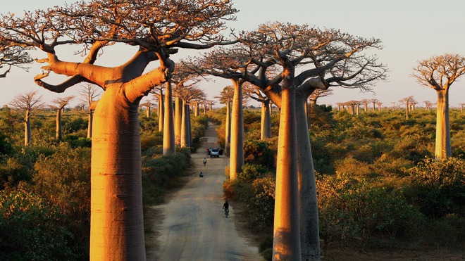 Khoai Lang Thang đã đạt được ước mơ khi tới nơi Quang Linh Vlog sinh sống- Ảnh 3. Khoai Lang Thang đã đạt được ước mơ khi tới nơi Quang Linh Vlog sinh sống- Ảnh 3.