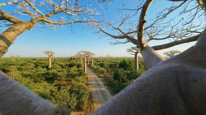 Khoai Lang Thang đã đạt được ước mơ khi tới nơi Quang Linh Vlog sinh sống- Ảnh 17. Khoai Lang Thang đã đạt được ước mơ khi tới nơi Quang Linh Vlog sinh sống- Ảnh 17.