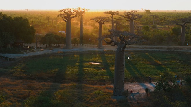 Khoai Lang Thang đã đạt được ước mơ khi tới nơi Quang Linh Vlog sinh sống- Ảnh 4. Khoai Lang Thang đã đạt được ước mơ khi tới nơi Quang Linh Vlog sinh sống- Ảnh 4.