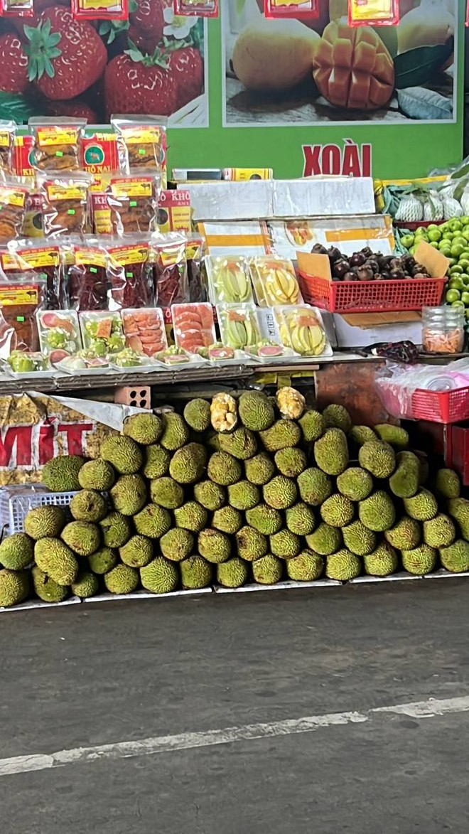 Cận cảnh mít tí hon ở Đồng Nai, người mua thắc mắc ăn mấy quả mới đủ?- Ảnh 1. Cận cảnh mít tí hon ở Đồng Nai, người mua thắc mắc ăn mấy quả mới đủ?- Ảnh 1.