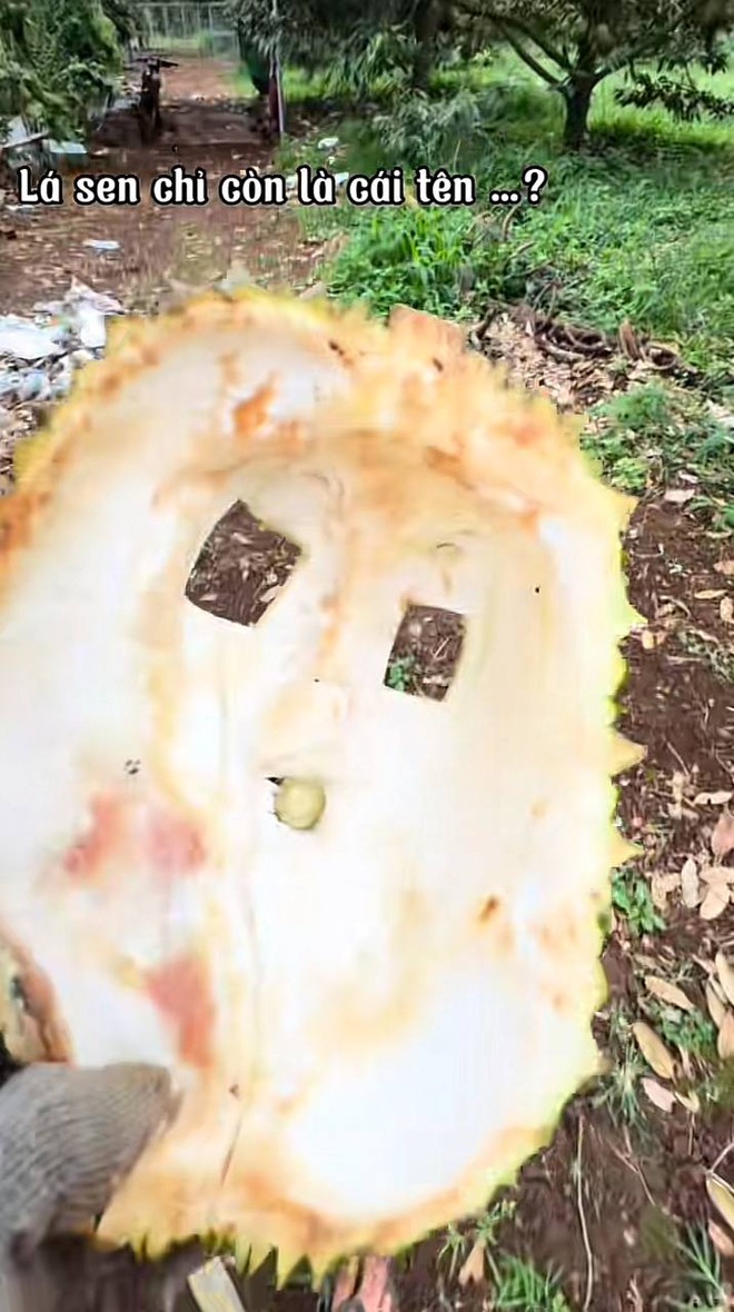 Trào lưu kỳ dị lấy đồ ăn làm mặt nạ chạy xe đã đến mức này rồi ư? Không tiết chế kẻo rước họa vào thân lúc nào không hay!- Ảnh 10. Trào lưu kỳ dị lấy đồ ăn làm mặt nạ chạy xe đã đến mức này rồi ư? Không tiết chế kẻo rước họa vào thân lúc nào không hay!- Ảnh 10.