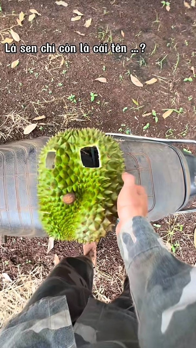 Trào lưu kỳ dị lấy đồ ăn làm mặt nạ chạy xe đã đến mức này rồi ư? Không tiết chế kẻo rước họa vào thân lúc nào không hay!- Ảnh 9. Trào lưu kỳ dị lấy đồ ăn làm mặt nạ chạy xe đã đến mức này rồi ư? Không tiết chế kẻo rước họa vào thân lúc nào không hay!- Ảnh 9.