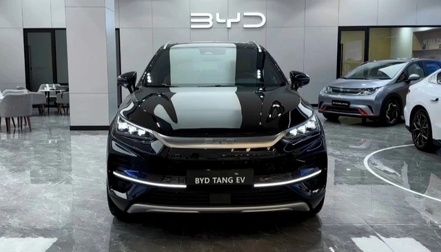 byd dung