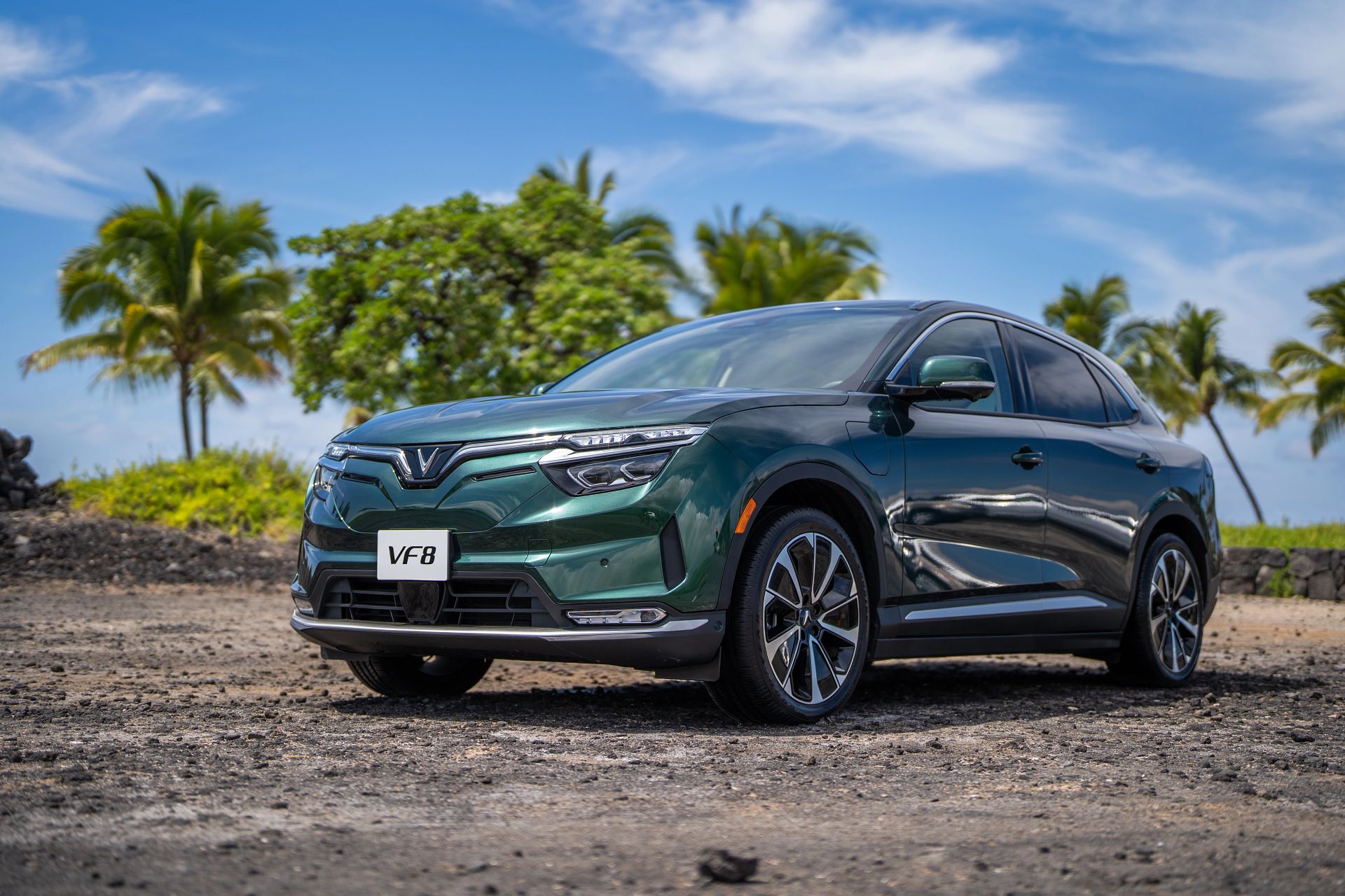 a01 1740572295624619258314 1740572374033 17405723743642118048860