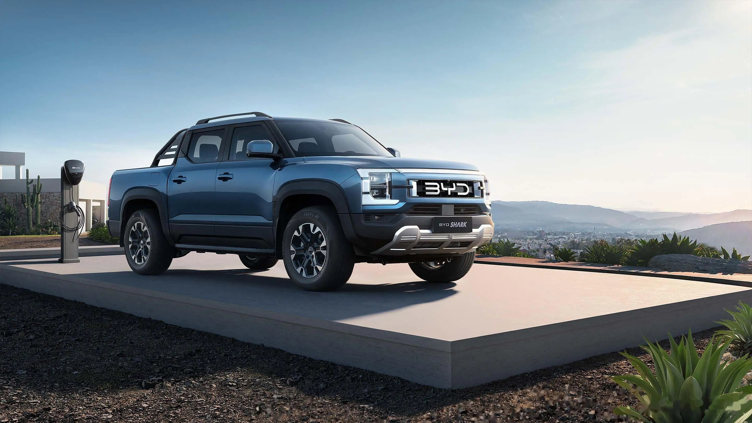 ban tai byd shark 6 1