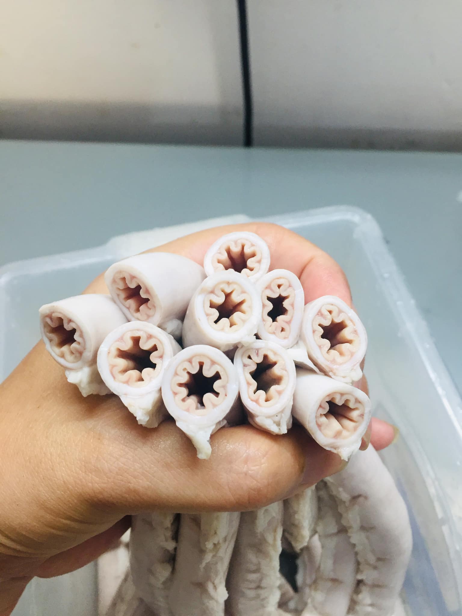 24093237331258754643026633994910126464209142n 1633691097459671738494 1633967655621 16339676557322146717302 1634029990670 16340299908091026604526